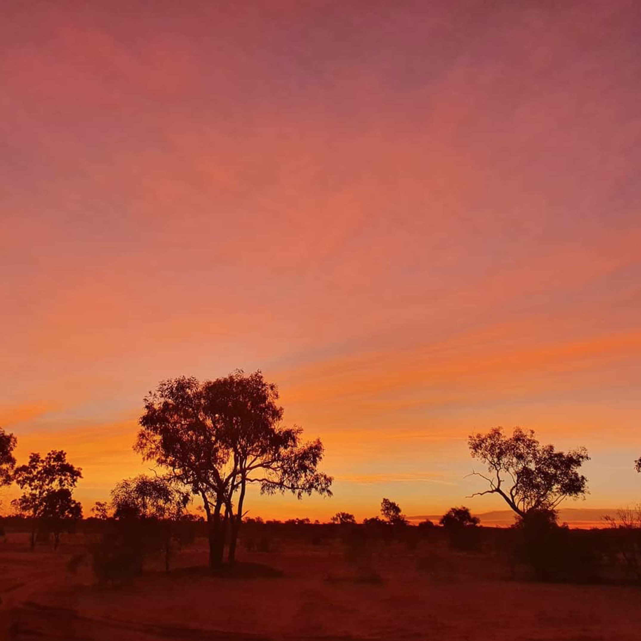 Acknowledgment and Welcome To Country - Their Meanings, Traditions and Importance